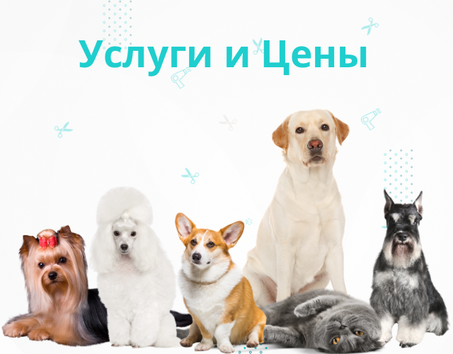 kvadratnyi_fon_640_x_500_piks.png
